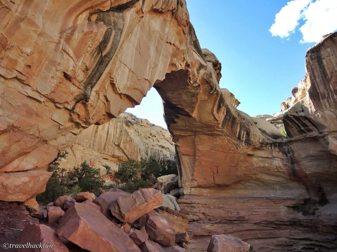 capitol reef national park,圓頂礁國家公園 66