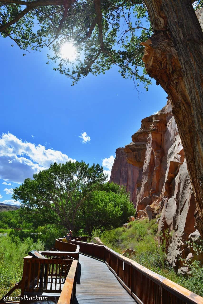 capitol reef national park,圓頂礁國家公園 57
