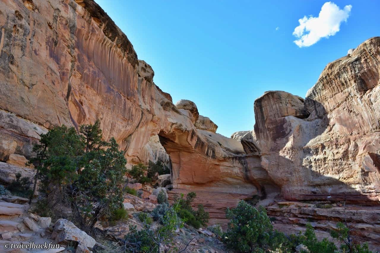 capitol reef national park,圓頂礁國家公園 69
