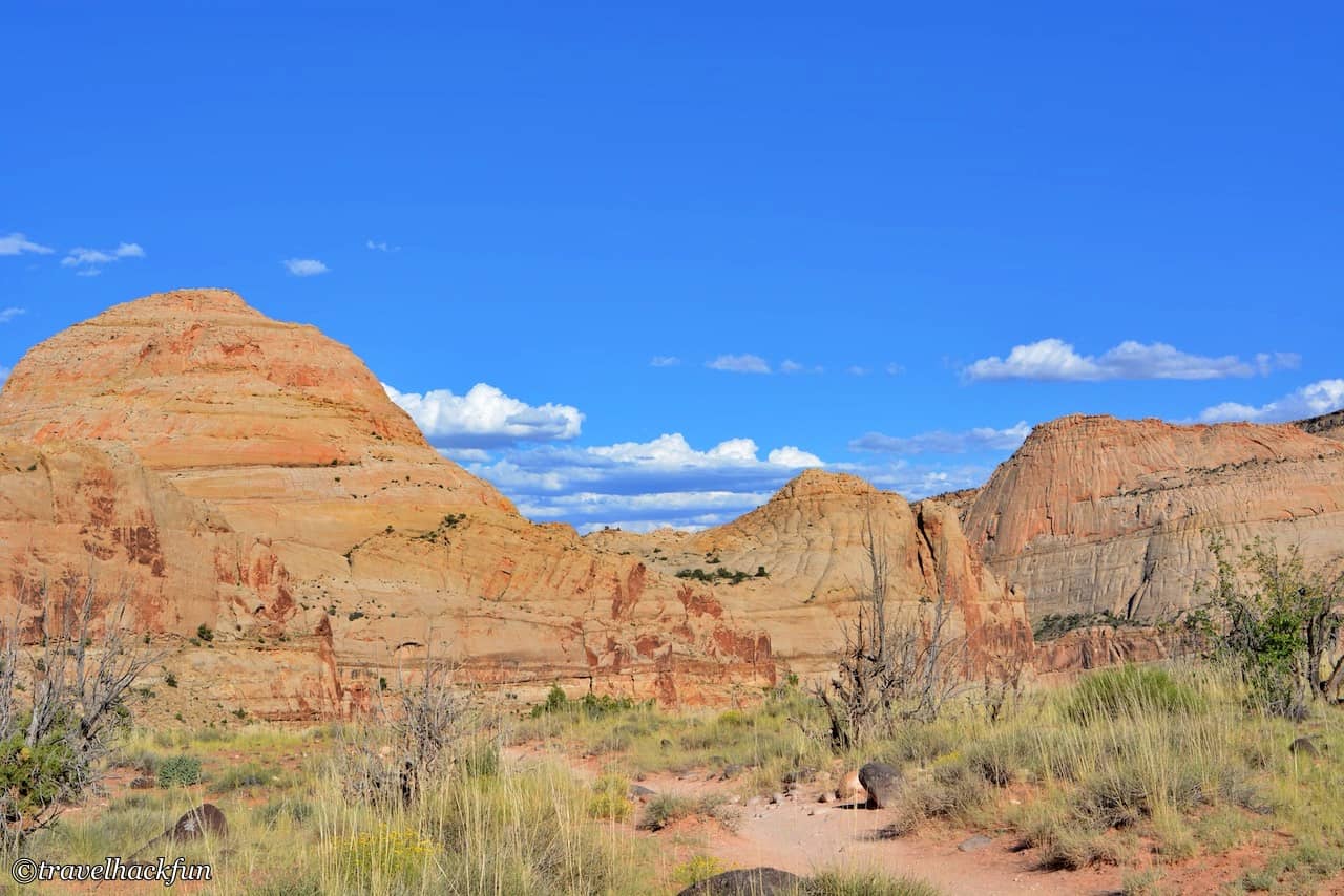 Capitol reef national park 圓頂礁國家公園