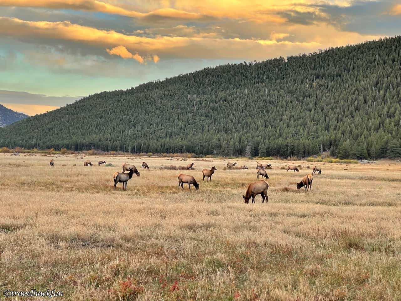 Rocky Mountain national park,洛磯山國家公園,落磯山國家公園 19