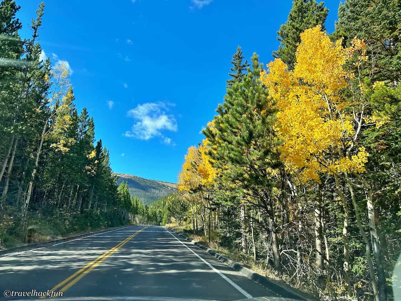 Trail Ridge Road 2