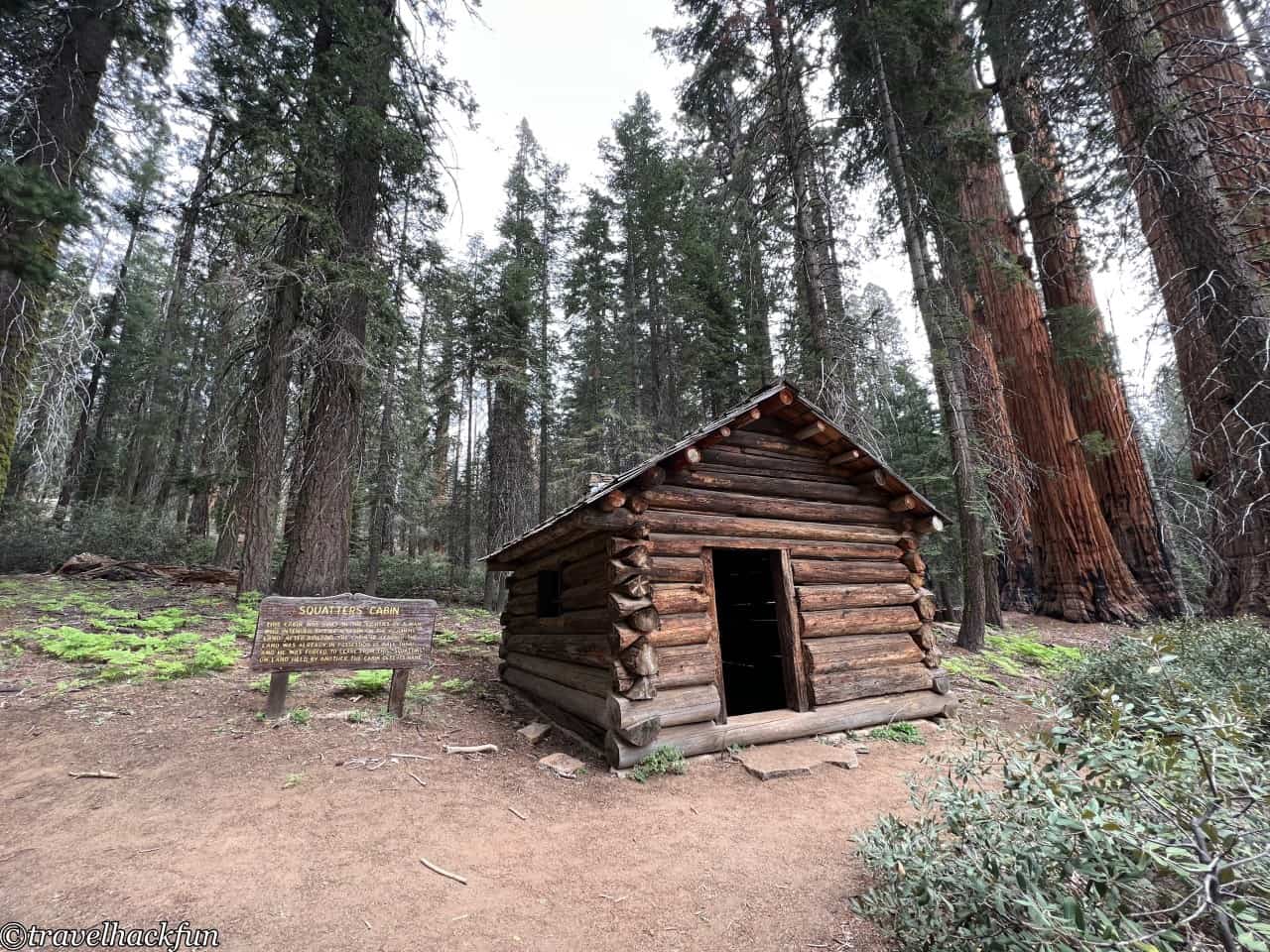 Sequoia National Park,紅杉國家公園 123