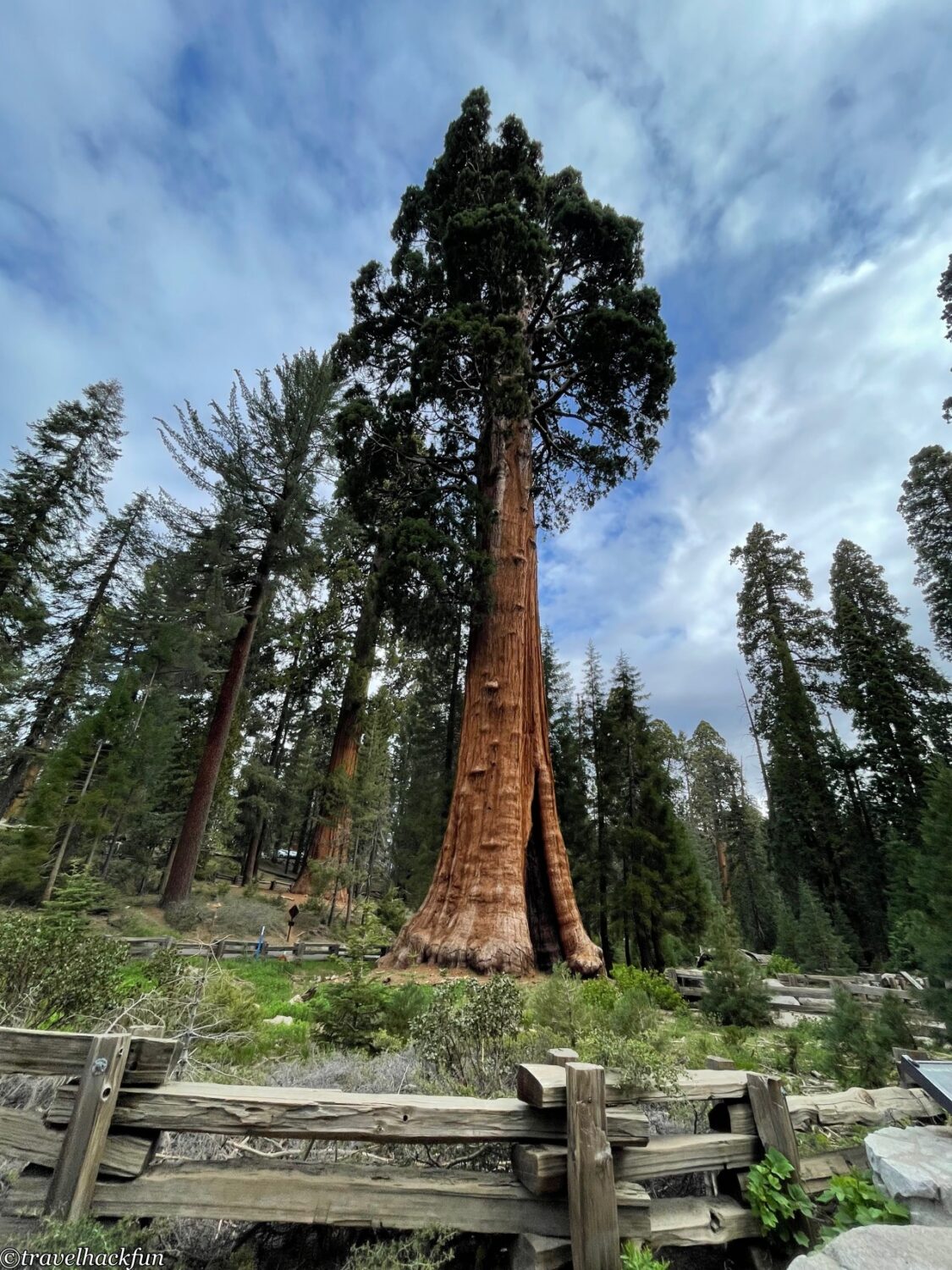 Sequoia National Park,紅杉國家公園 23
