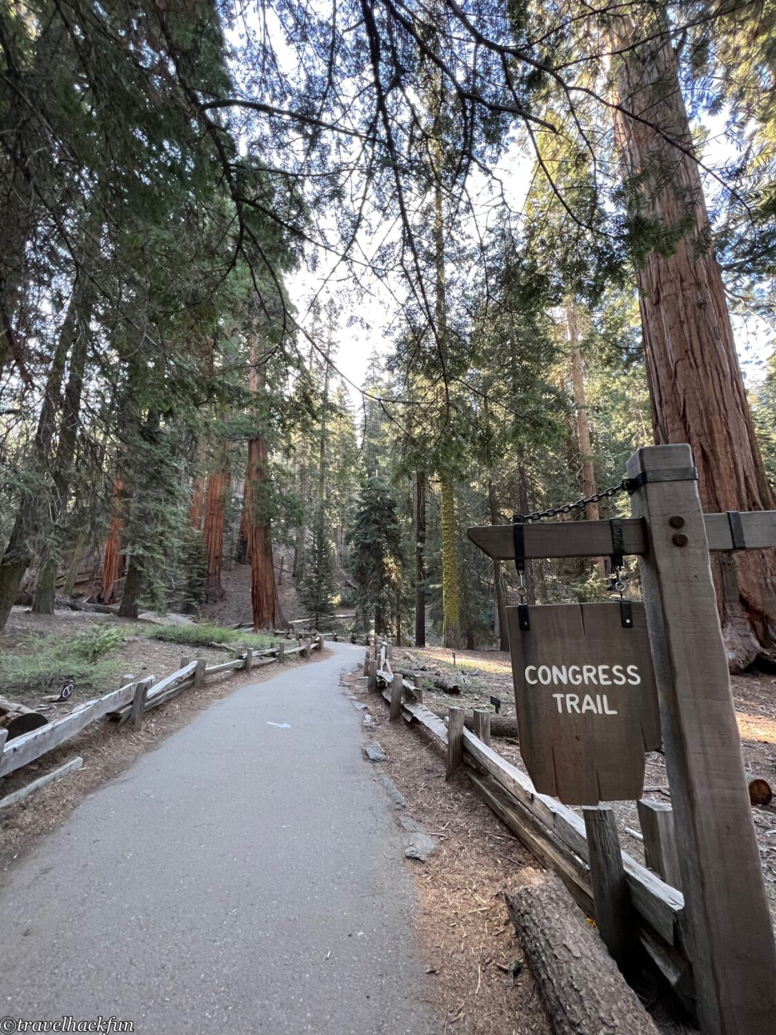 Sequoia National Park,紅杉國家公園 31