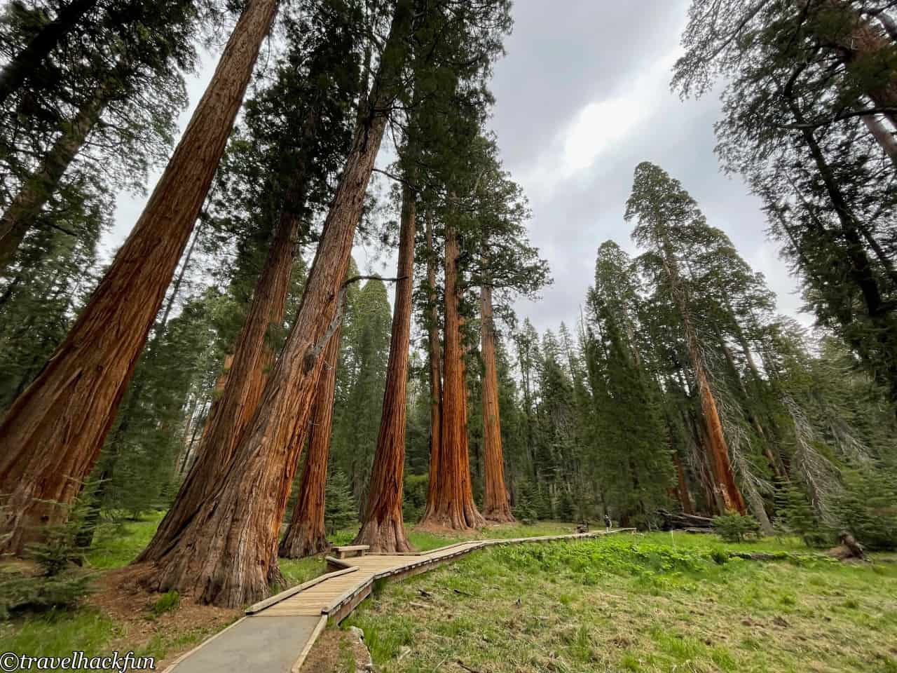Sequoia National Park,紅杉國家公園 77