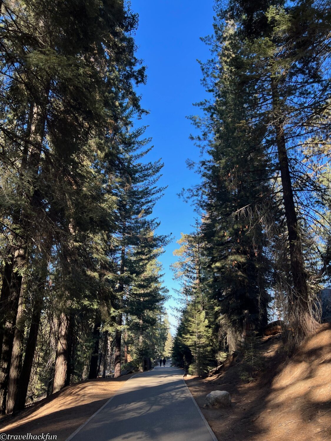 Sequoia National Park,紅杉國家公園 24