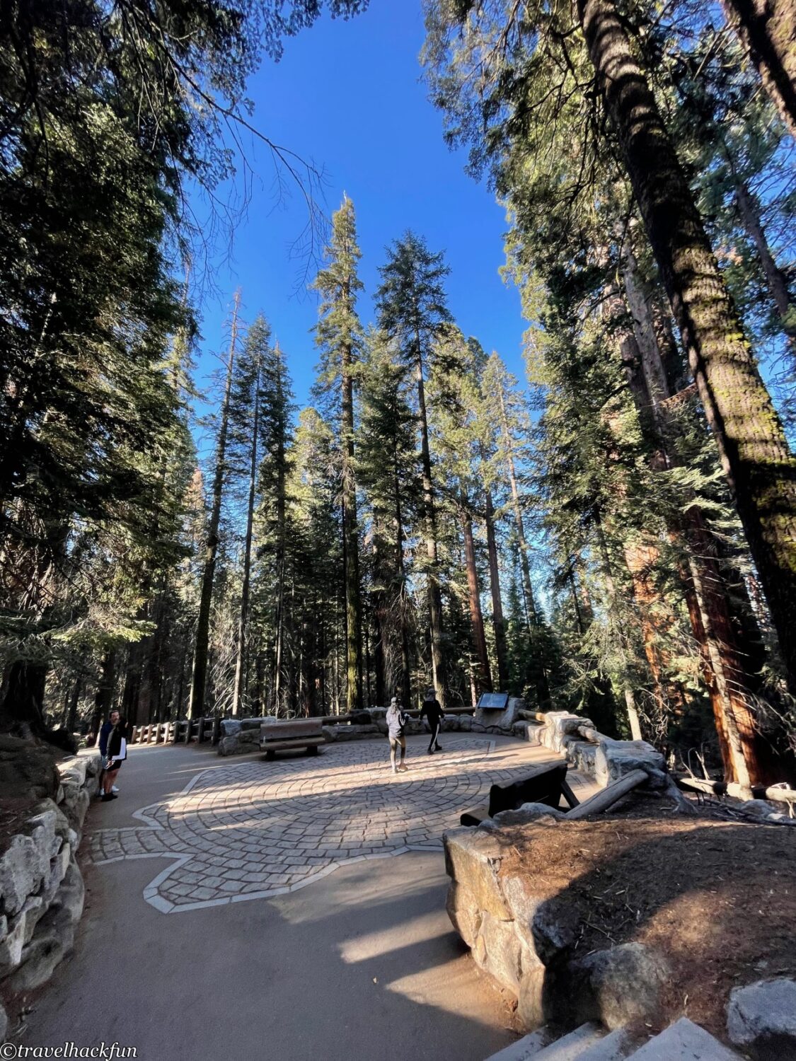 Sequoia National Park,紅杉國家公園 26