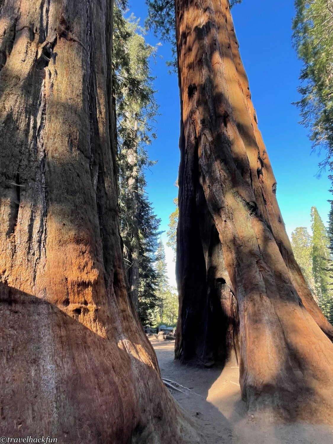 Sequoia National Park,紅杉國家公園 28