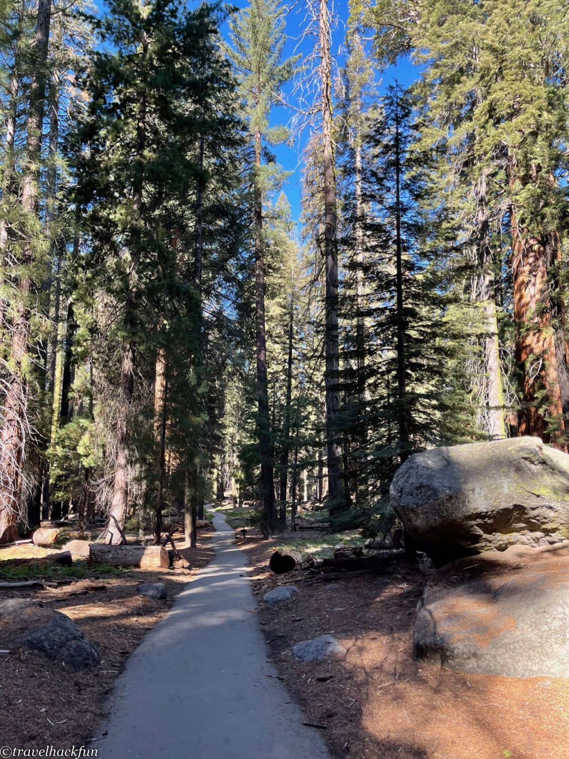 Sequoia National Park,紅杉國家公園 38