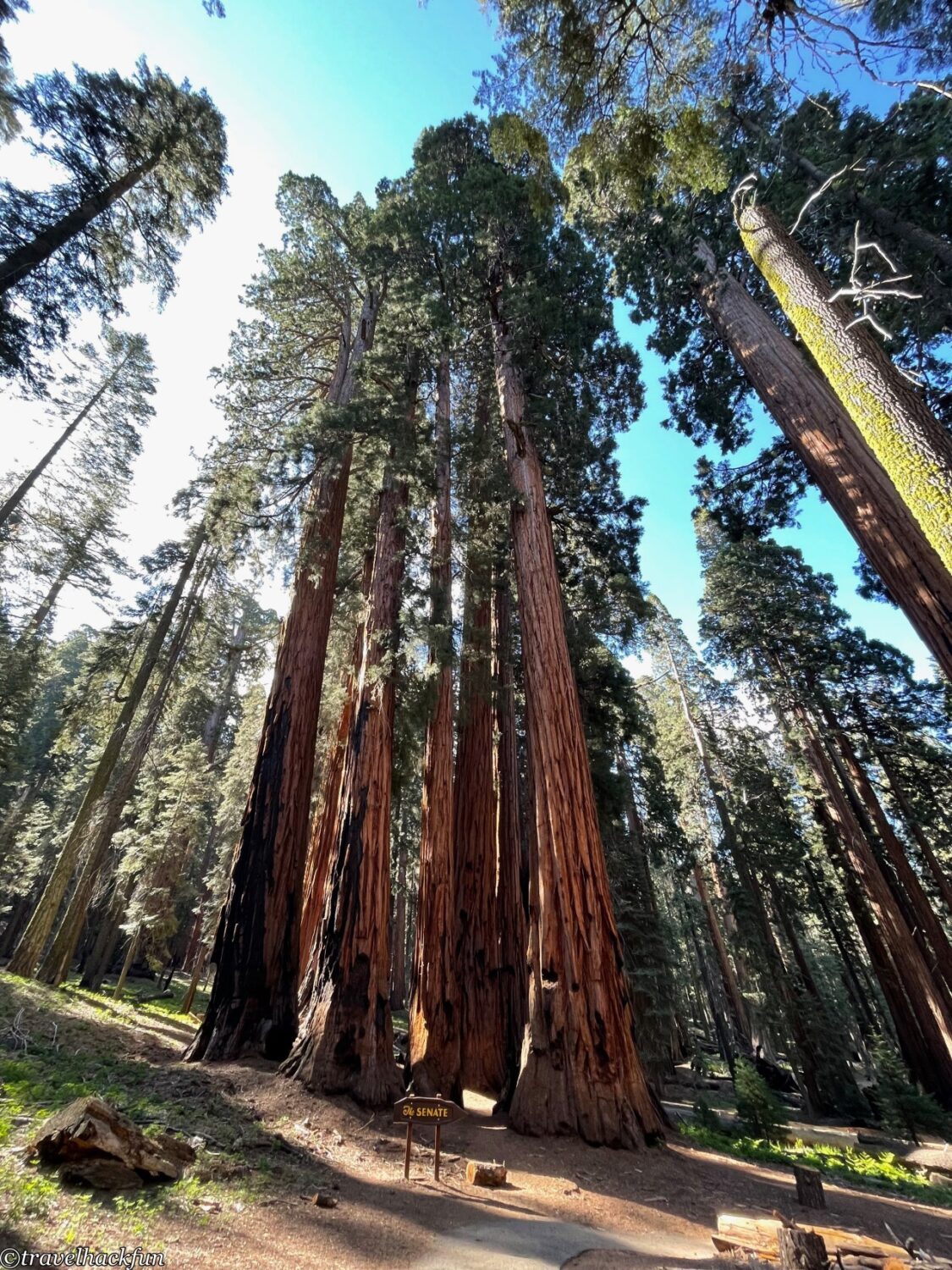 Sequoia National Park,紅杉國家公園 40