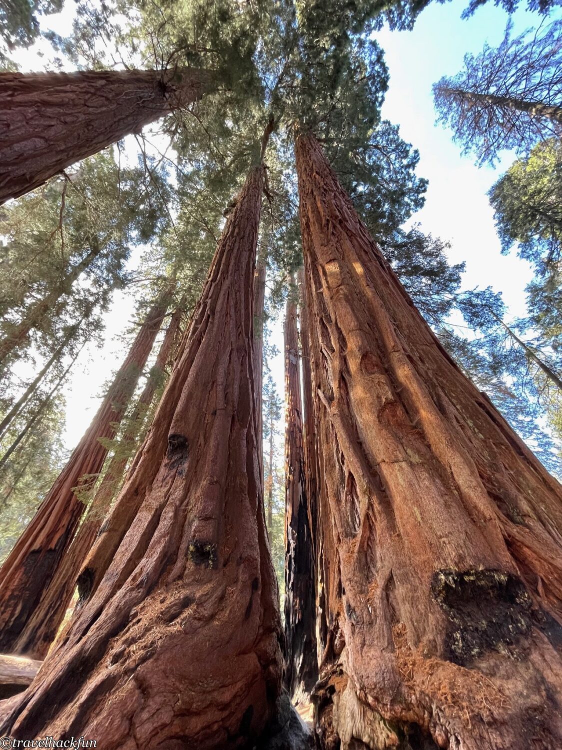 Sequoia National Park,紅杉國家公園 45