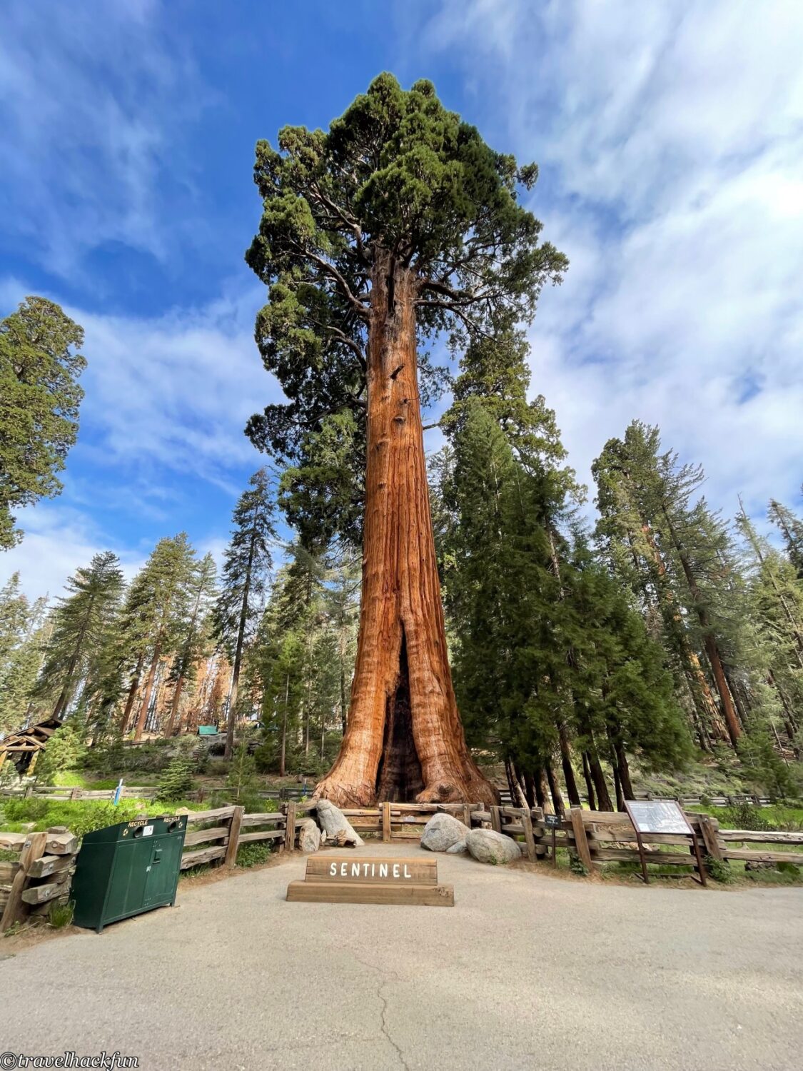 Sequoia National Park,紅杉國家公園 61