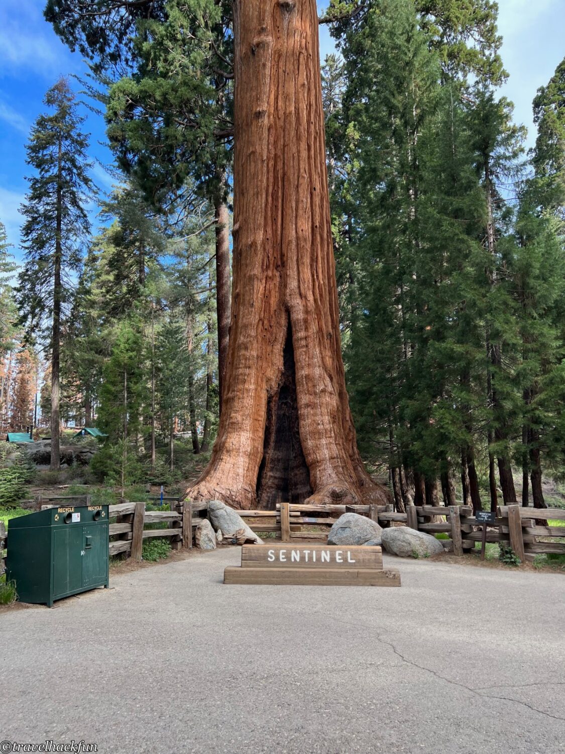 Sequoia National Park,紅杉國家公園 62