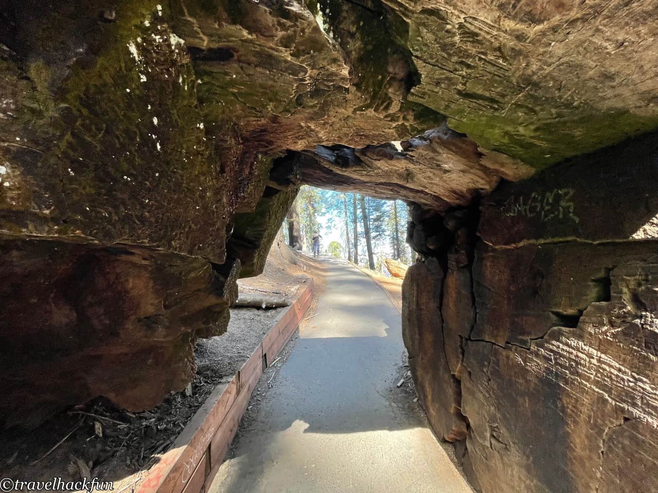 Sequoia National Park,紅杉國家公園 56