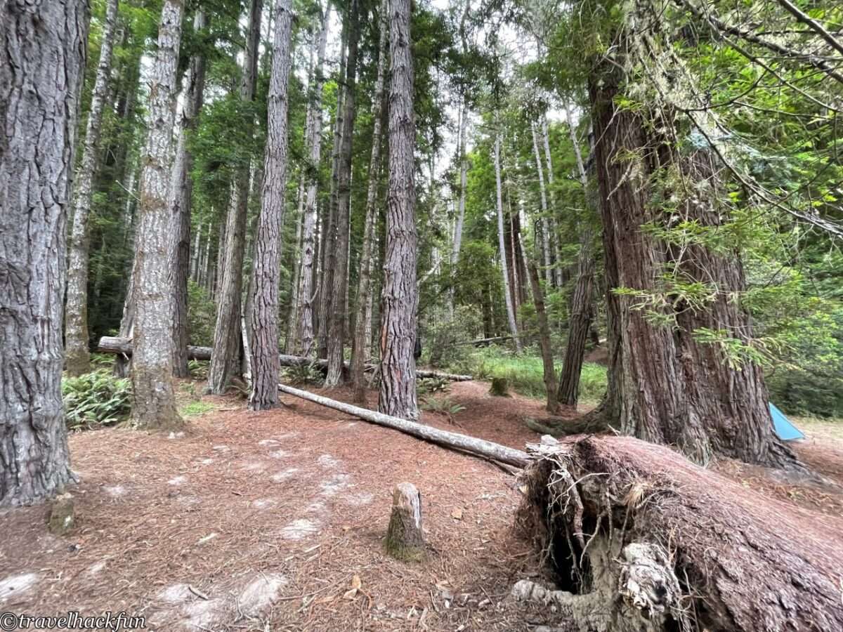 【北加露營景點】Mendocino 海岸 | Van Damme State Park - 時空旅人札記