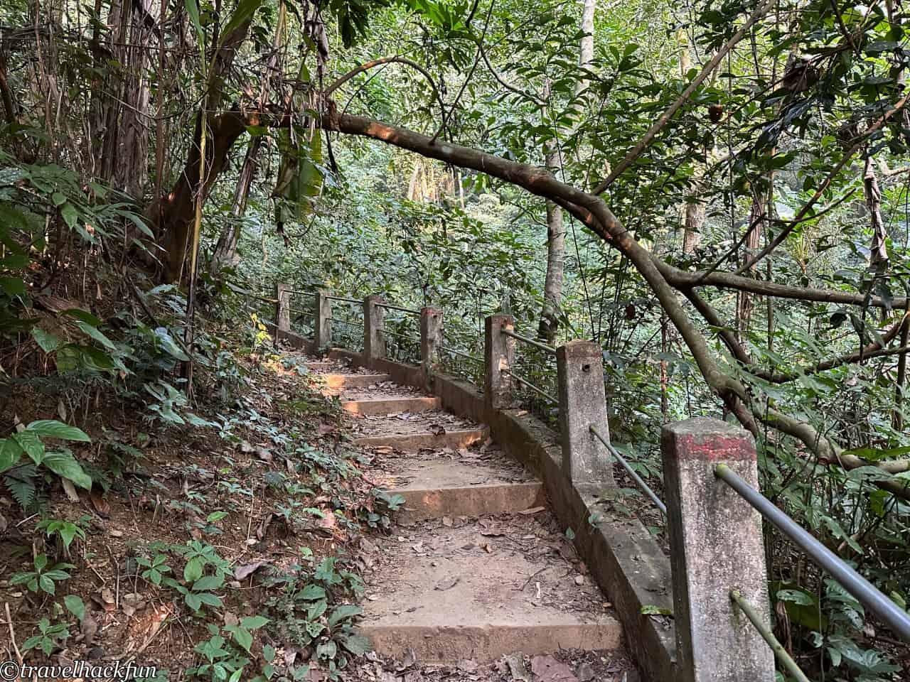 Cuc Phoung Național Park,菊芳國家公園 25