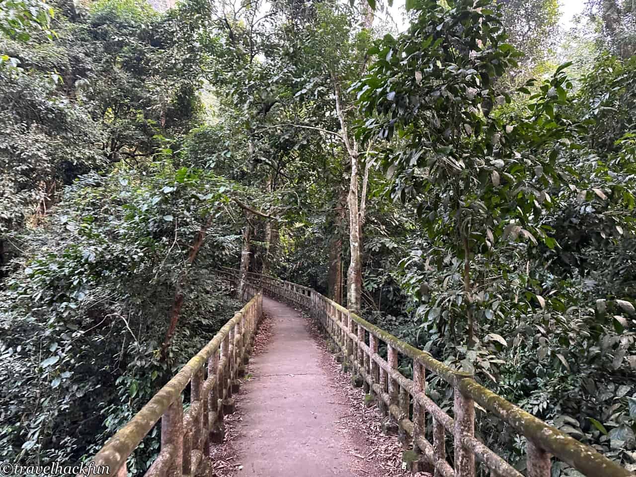 Cuc Phoung Național Park, Cuc Phoung National Park 30