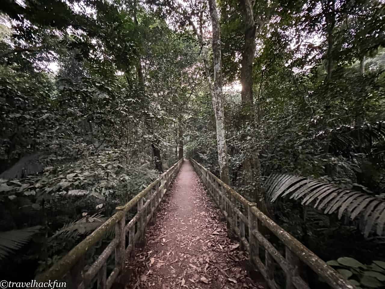 Cuc Phoung Național Park, Cuc Phoung National Park 40