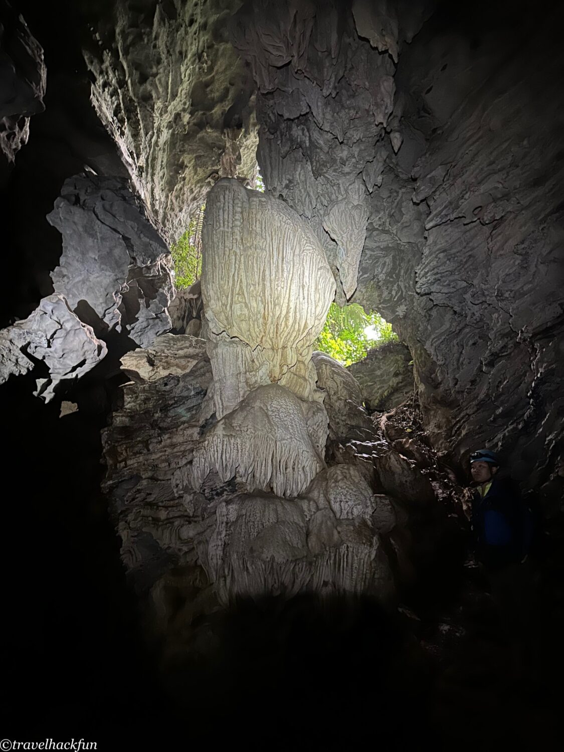 oxalis,峰牙洞窟探險 40