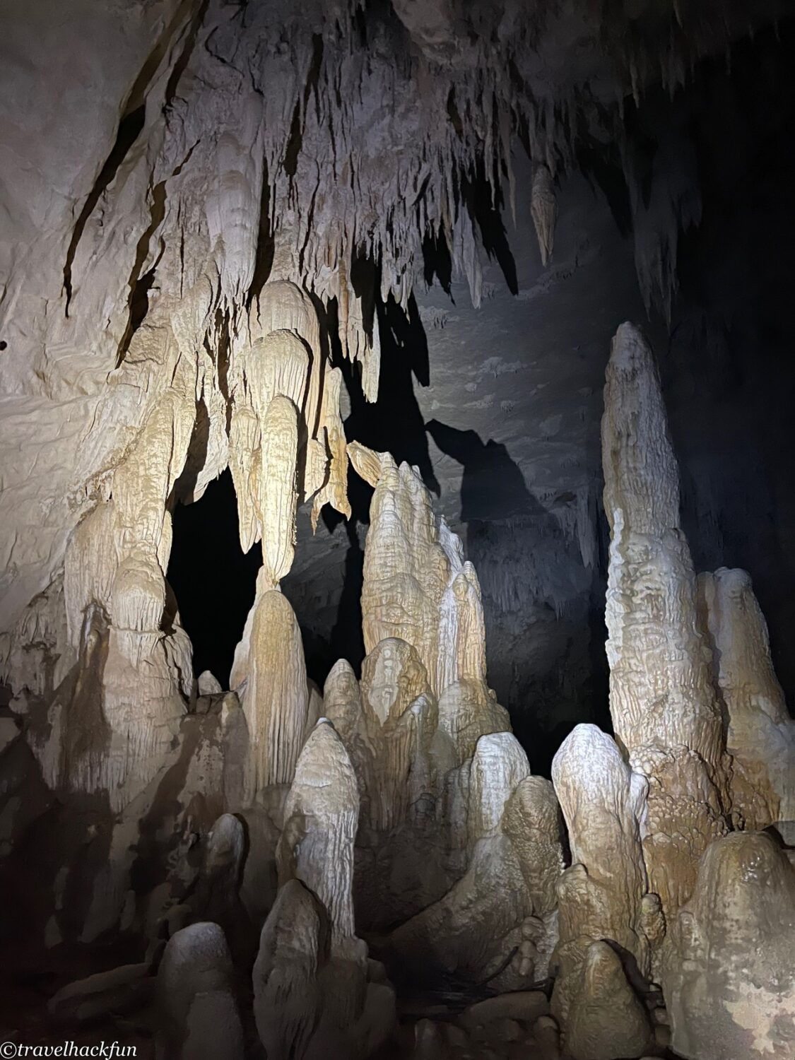 oxalis,峰牙洞窟探險 60