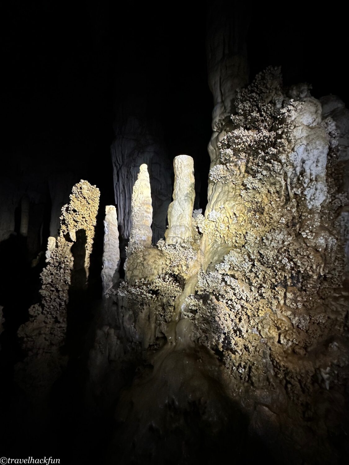 oxalis,峰牙洞窟探險 61
