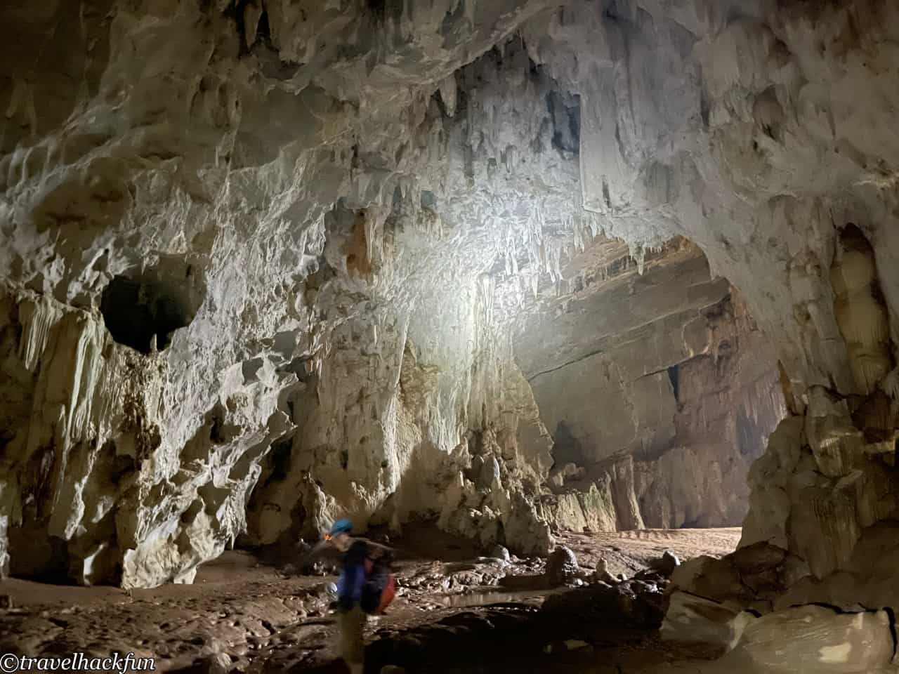 oxalis,峰牙洞窟探險 56