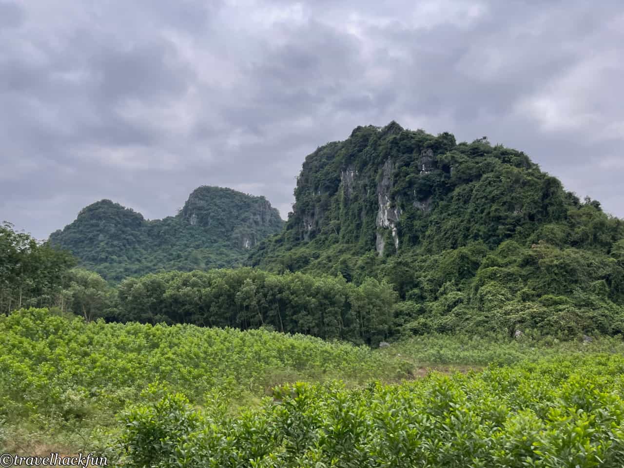 Phong Nha,峰牙,峰牙己榜國家公園 10