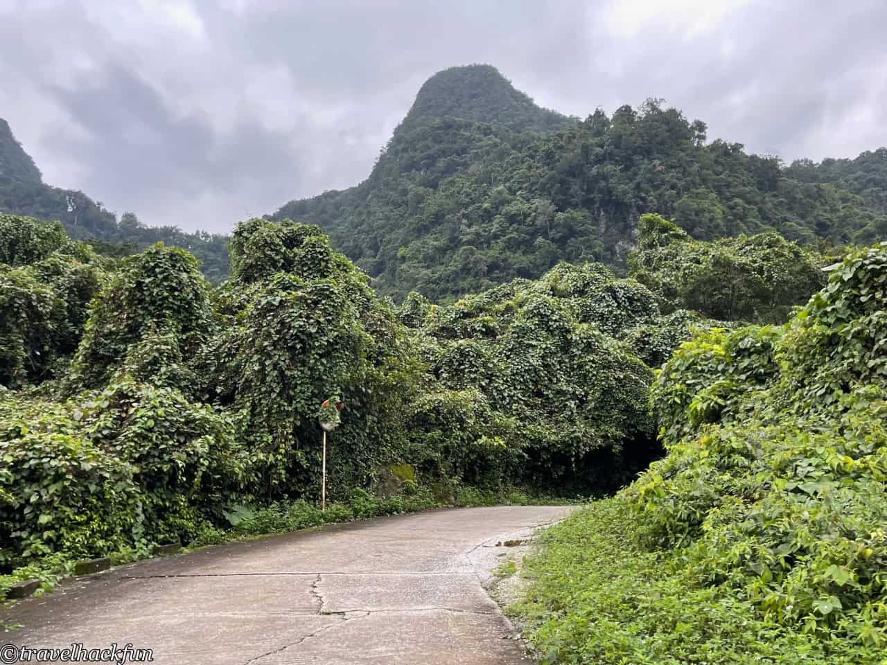 Phong Nha,峰牙,峰牙己榜國家公園 20