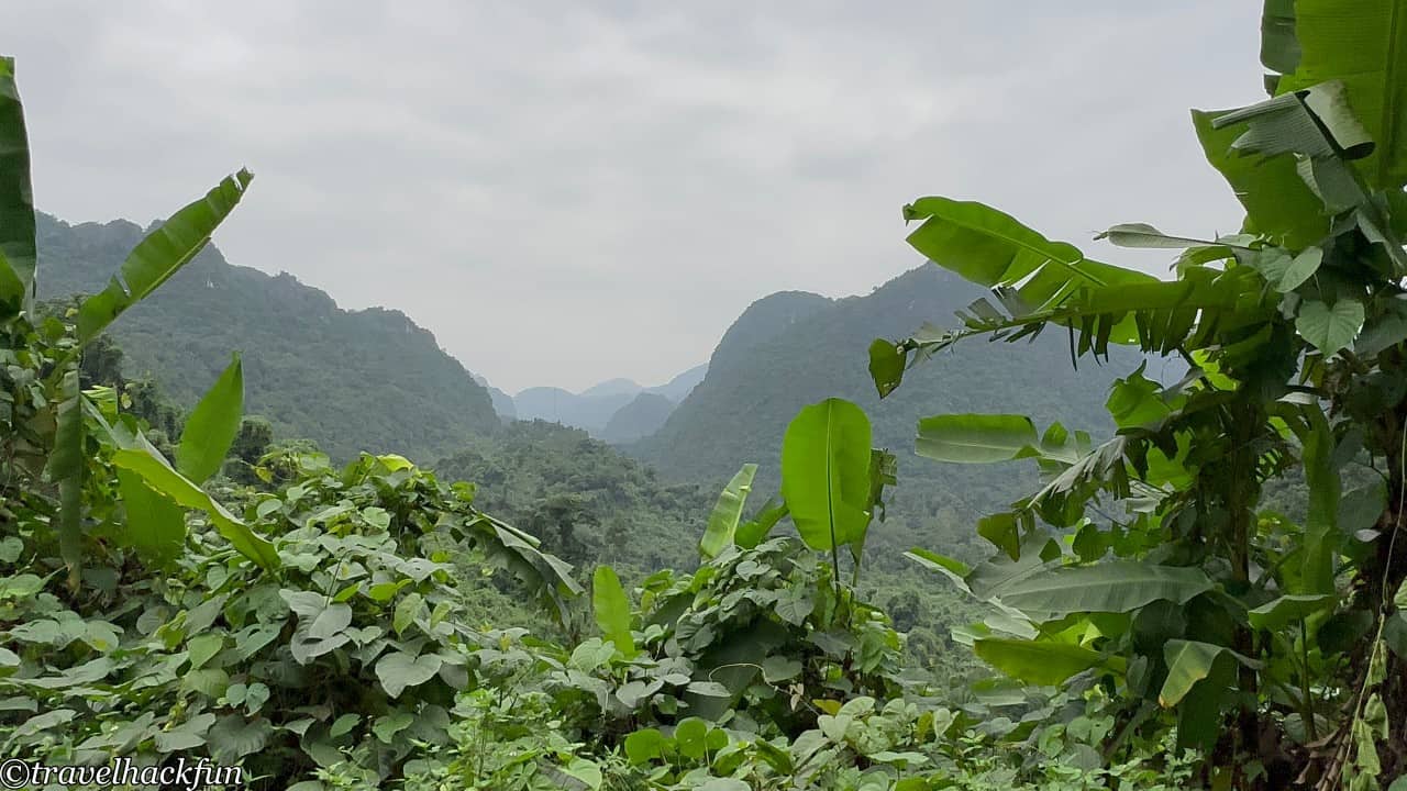 Phong Nha,峰牙,峰牙己榜國家公園 17