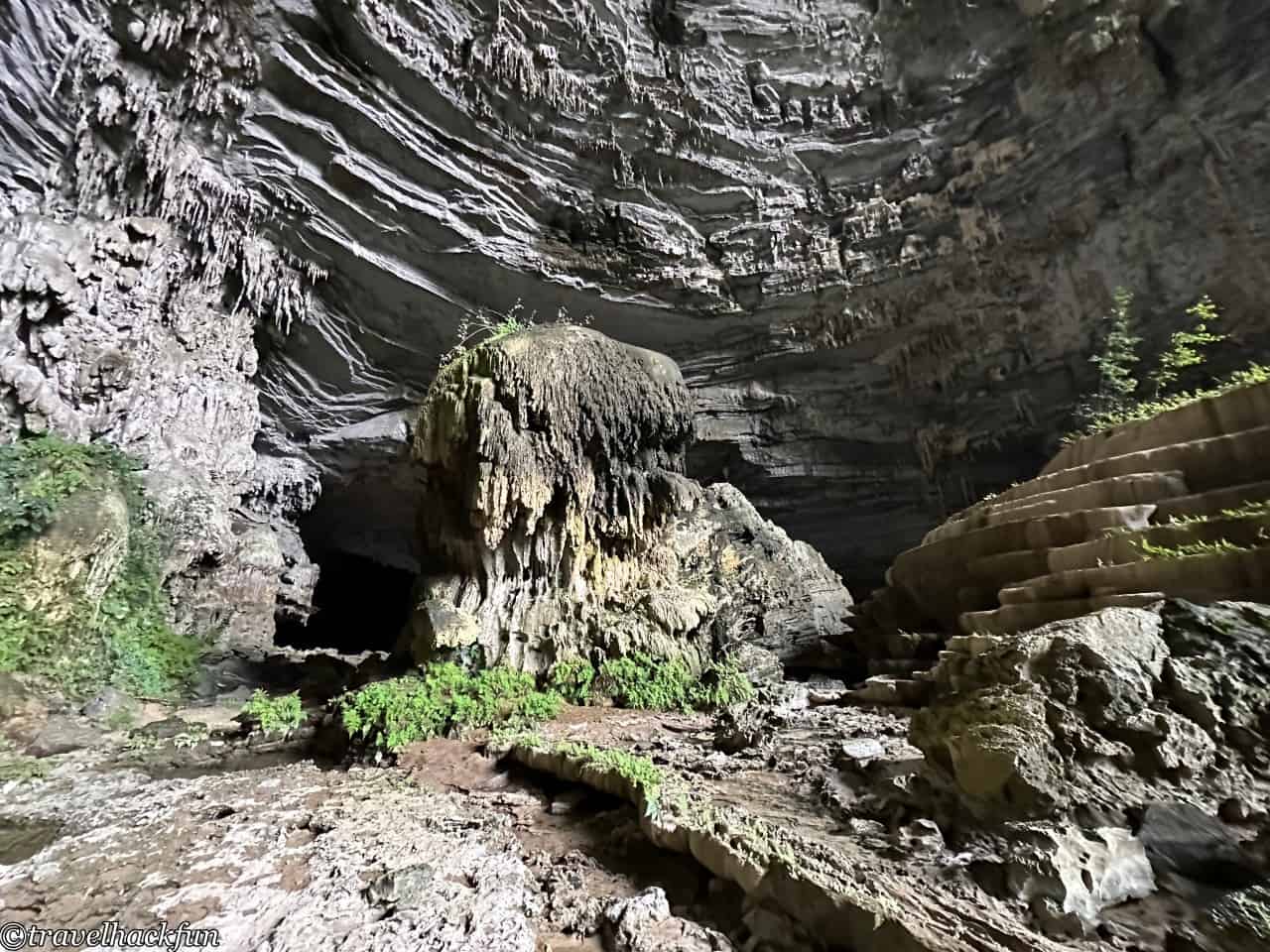 oxalis,峰牙洞窟探險 78