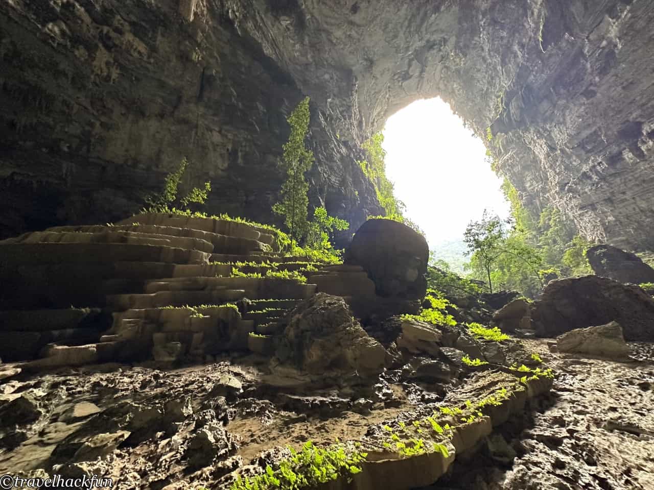 oxalis,峰牙洞窟探險 79
