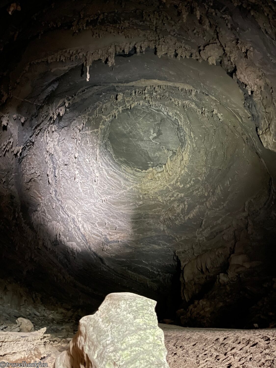 oxalis,峰牙洞窟探險 83