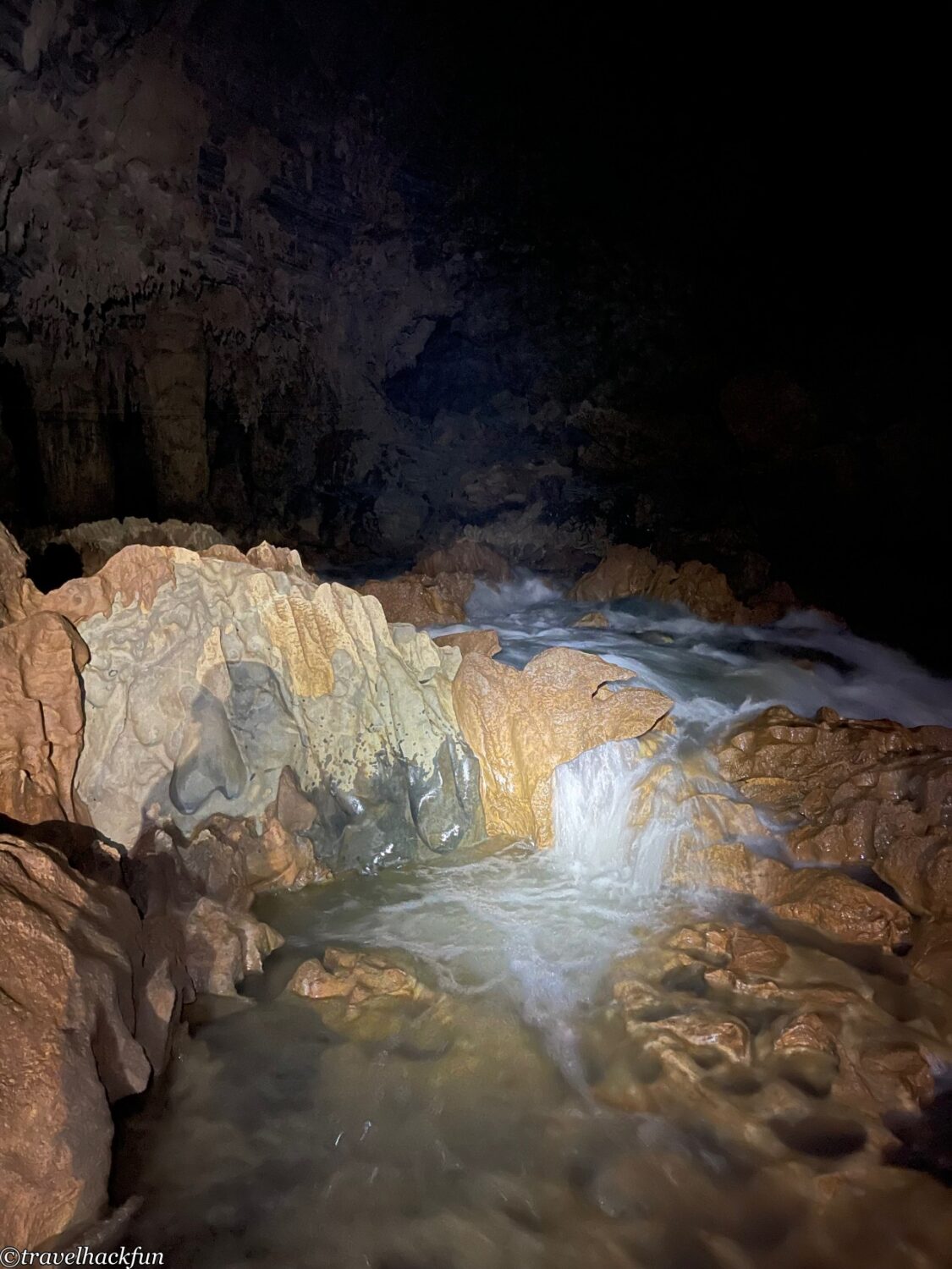 oxalis,峰牙洞窟探險 91