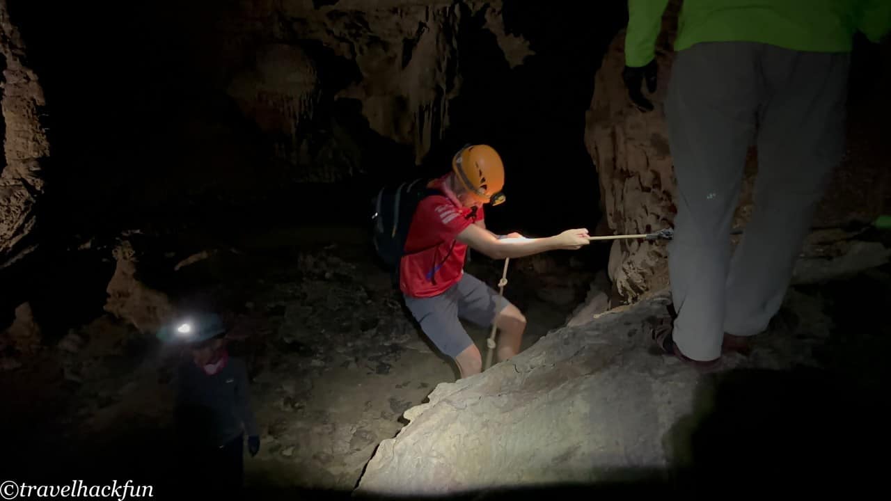 oxalis,峰牙洞窟探險 88