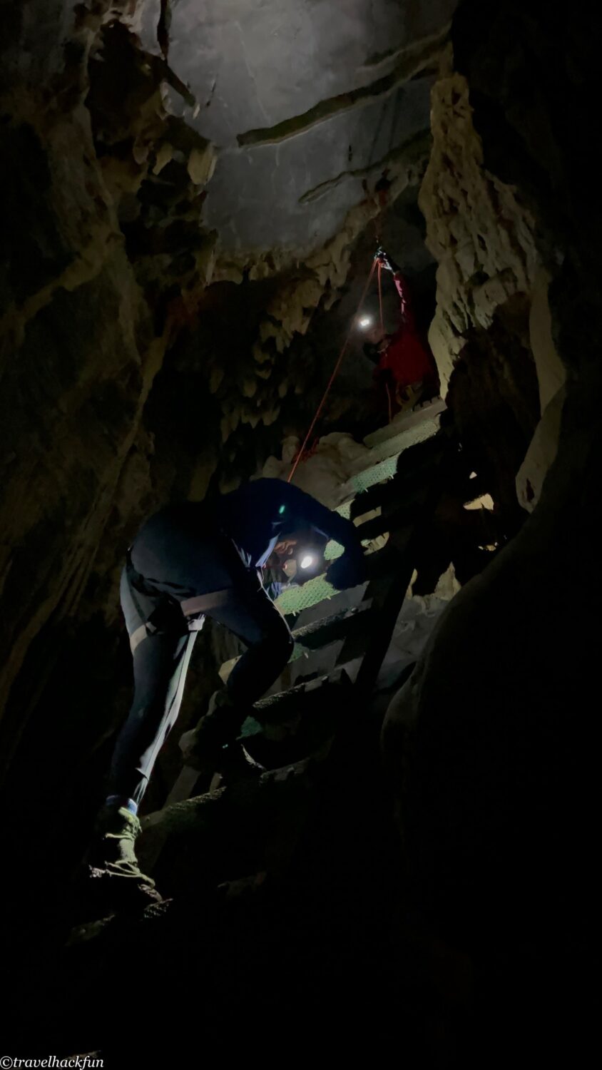 oxalis,峰牙洞窟探險 26