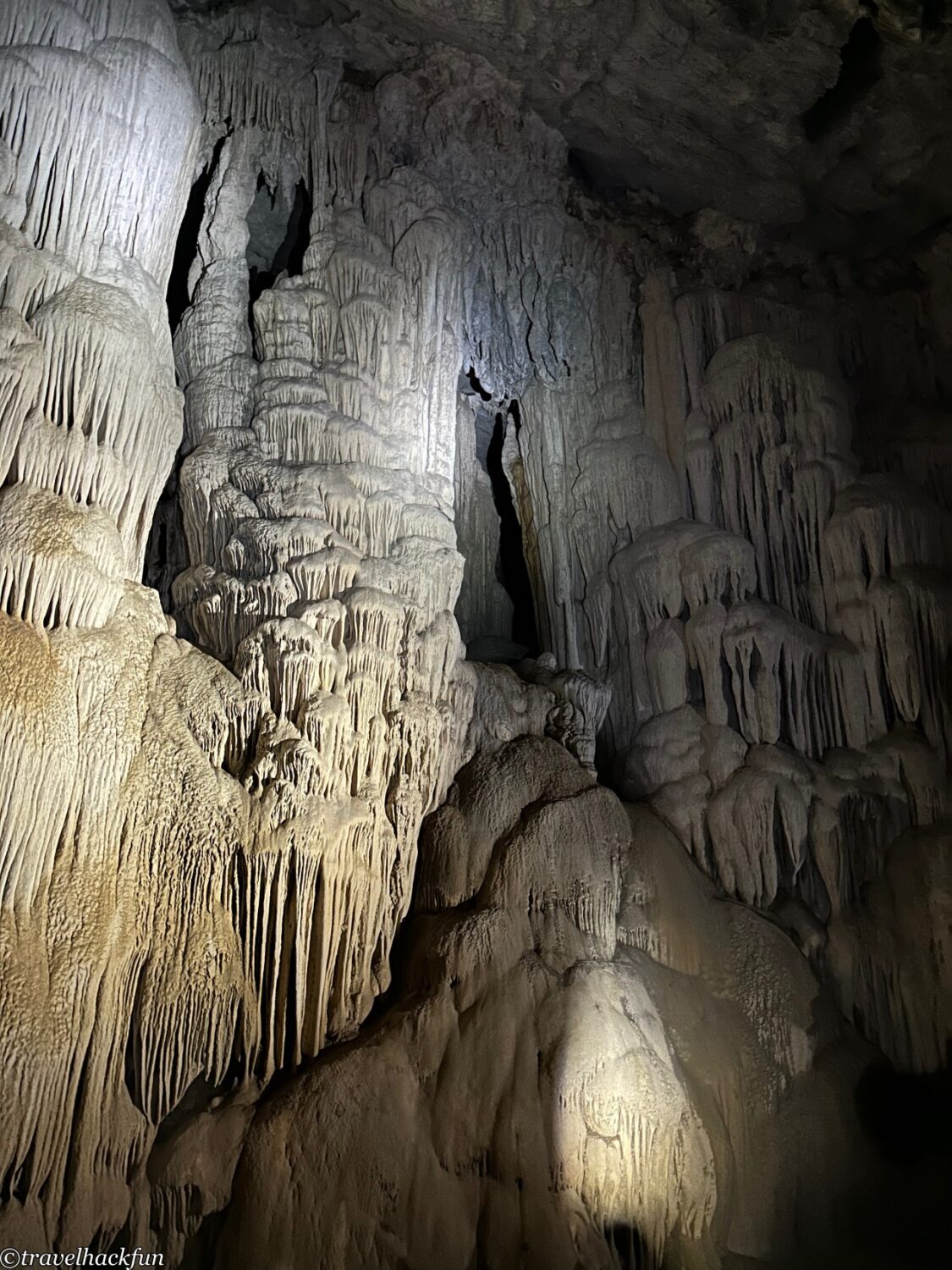 oxalis,峰牙洞窟探險 35
