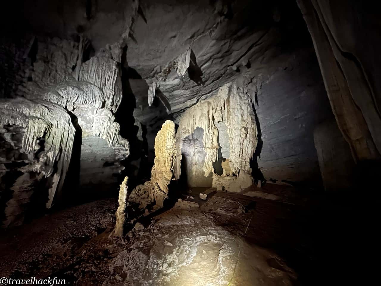 oxalis,峰牙洞窟探險 31
