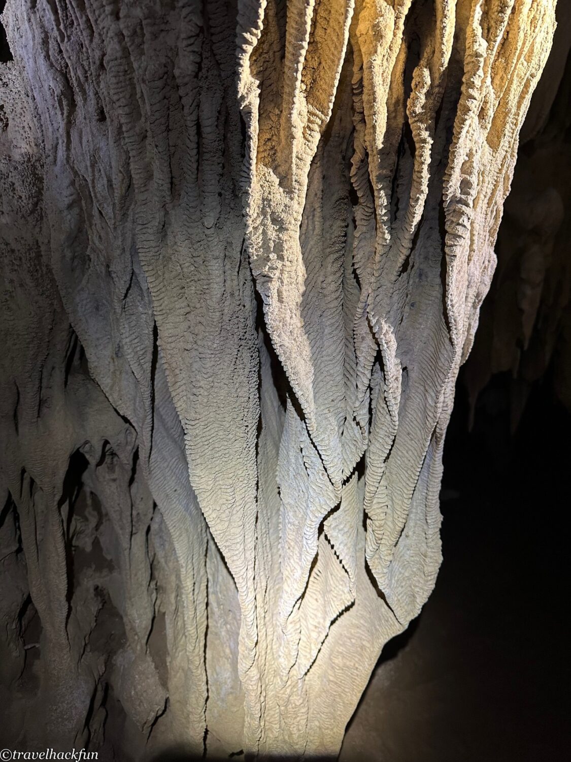 oxalis,峰牙洞窟探險 37