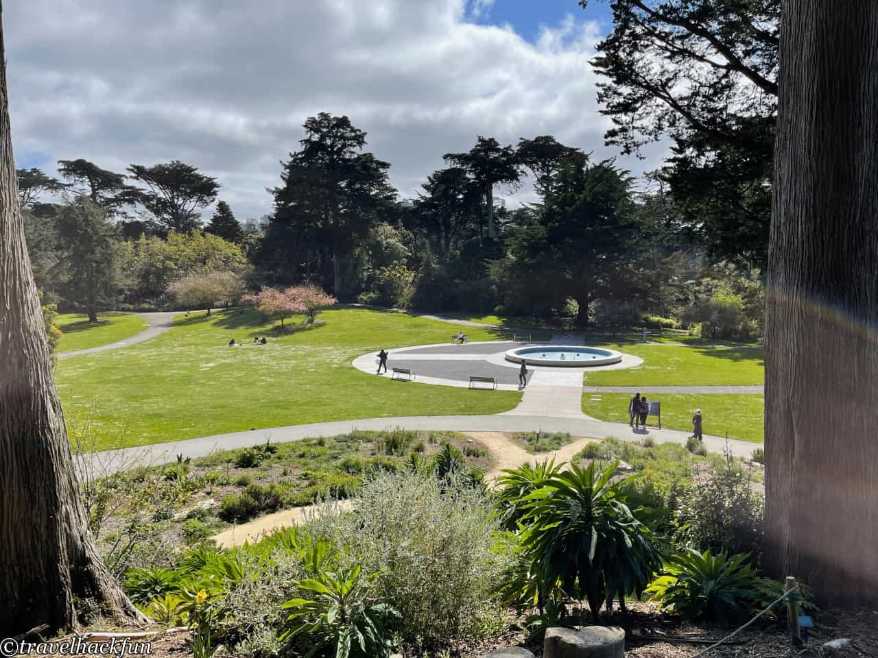 San Francisco botanical garden,舊金山植物園 12