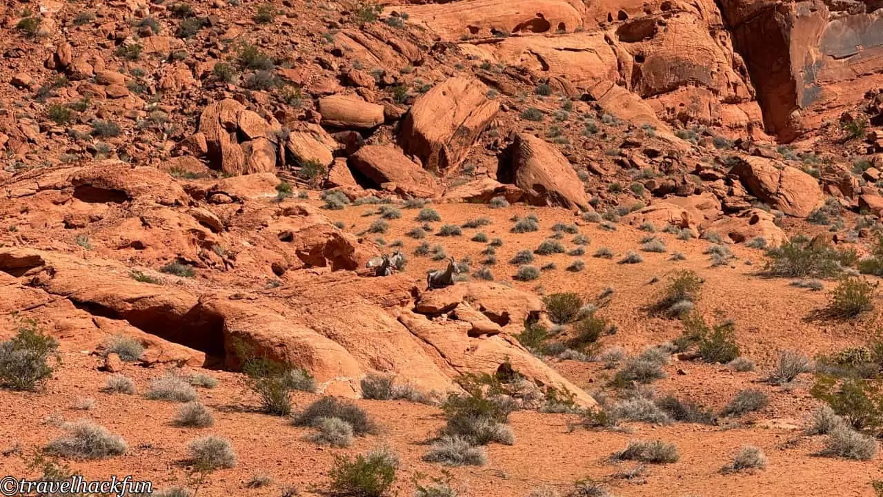 Valley of Fire, Valley of Fire State Park 9