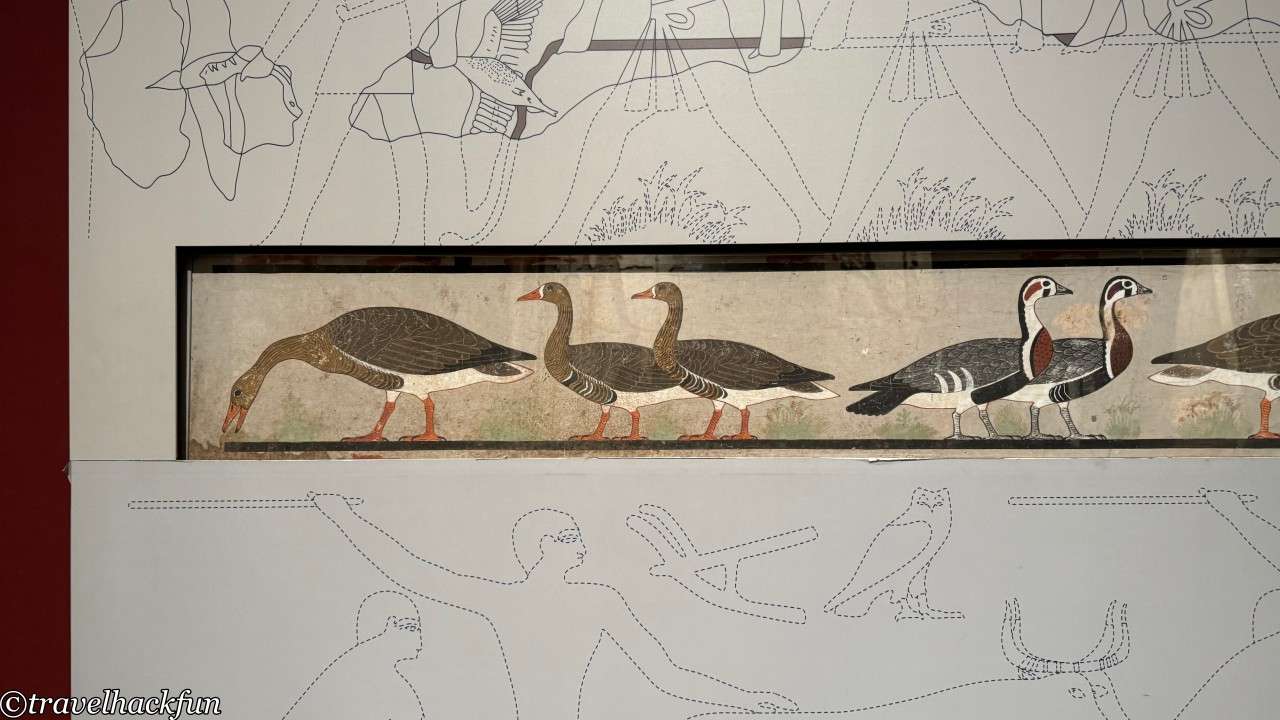 Egyptian Museum,埃及博物館 17