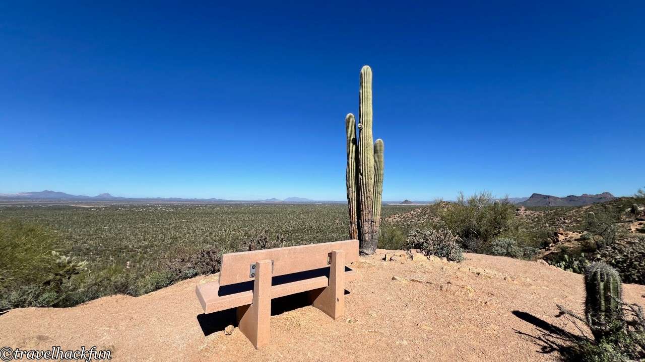 saguaro national park,巨人柱國家公園 99