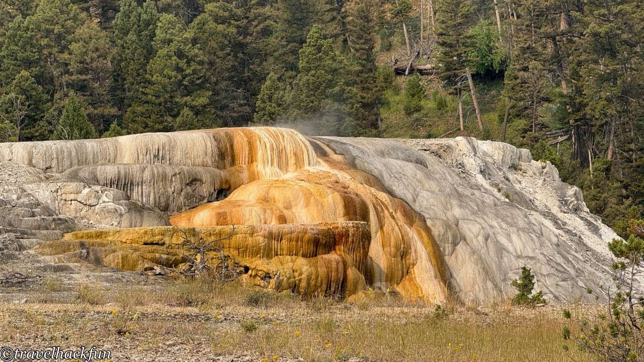【黃石國家公園】Mammoth Hot Springs 猛瑪溫泉區旅遊攻略 | 奇幻階梯溫泉 26 Mammoth Hot Springs,猛瑪溫泉 25