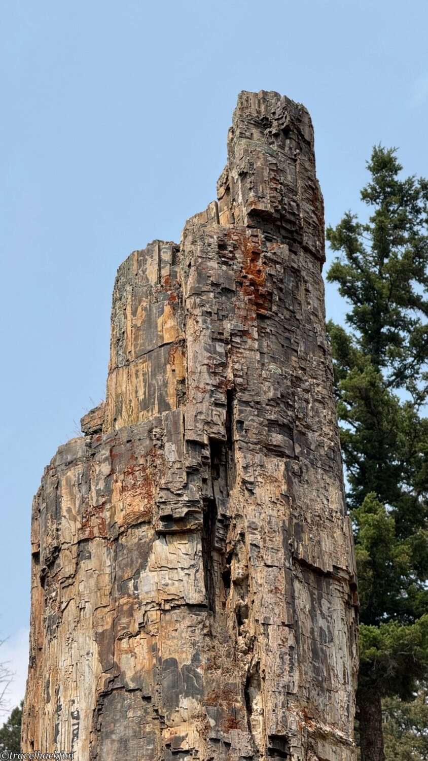 【黃石國家公園】Tower Roosevelt 與 Lamar Valley 區域一日遊攻略: 野生動物、瀑布探險、古蹟巡禮 14 Tower Roosevelt,Lamar Valley 13