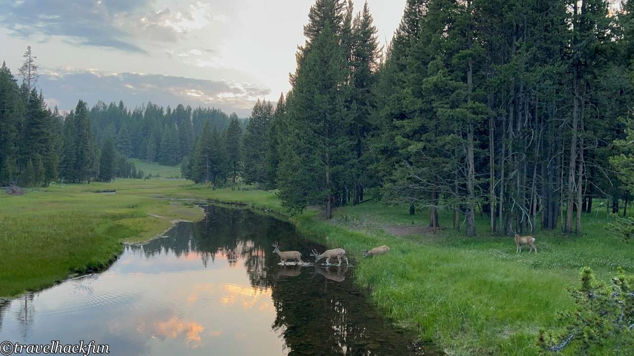 【黃石國家公園】黃石大峽谷區域 Grand Canyon of the Yellowstone 一日遊攻略 28 Grand Canyon of the yellowstone,黃石大峽谷 27