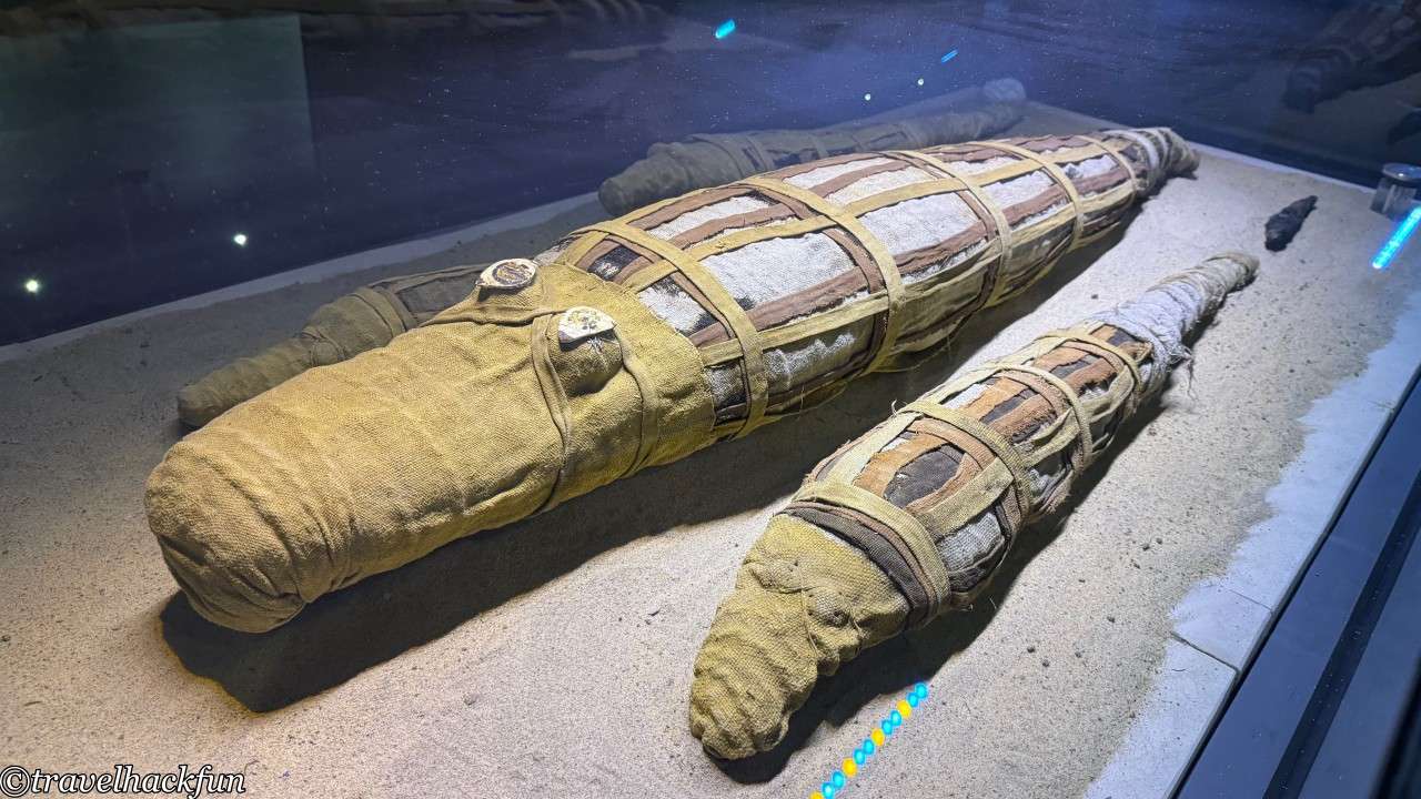【埃及】康翁波神廟 Kom Ombo Temple:尼羅河畔的雙神廟 50 kom ombo temple 49
