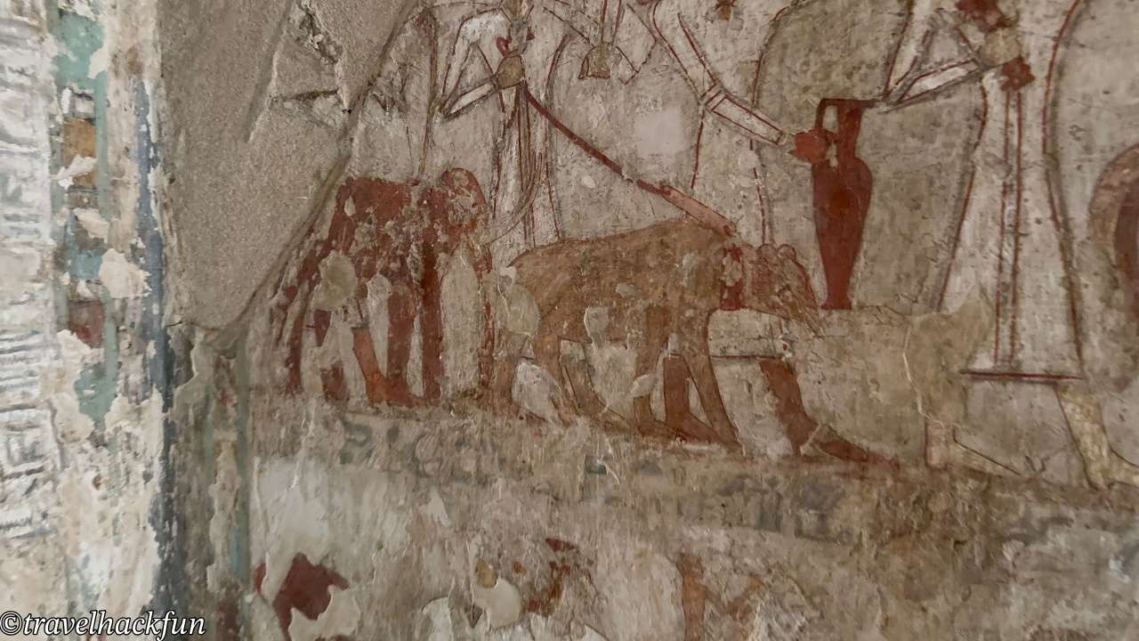【埃及旅遊】探秘盧克索貴族墓地 Tombs of the Nobles 12 Tombs of the nobles 11