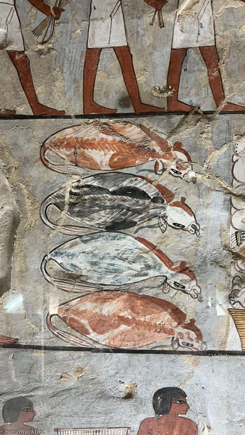 【埃及旅遊】探秘盧克索貴族墓地 Tombs of the Nobles 35 Tombs of the nobles 34