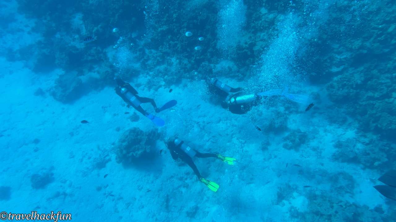 【埃及旅遊】紅海度假勝地 Hurghada 赫爾格達潛水浮潛自由行攻略 26 Hurghada,紅海,赫爾格達 25